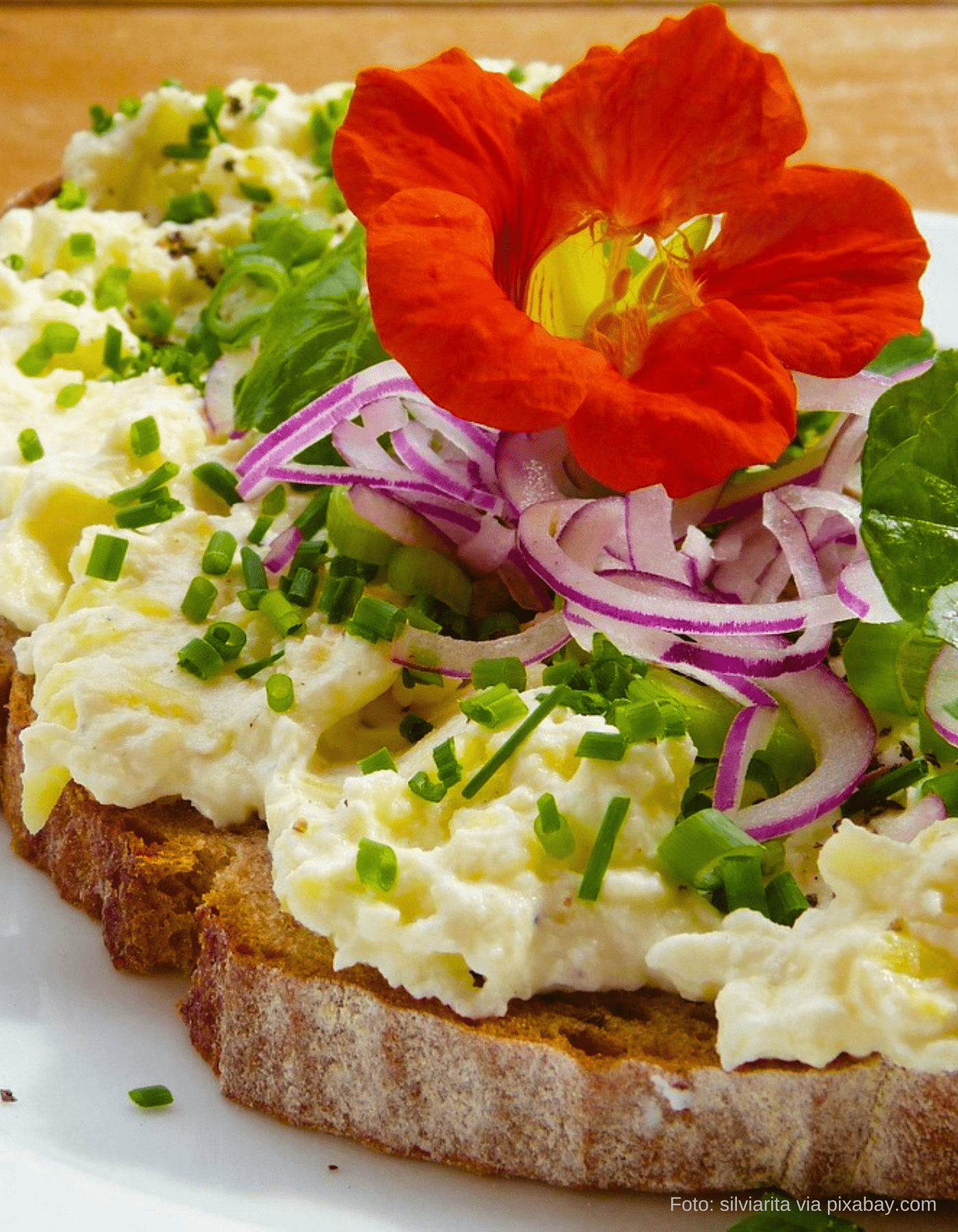 Eiersalat aus körnigem Frischkäse