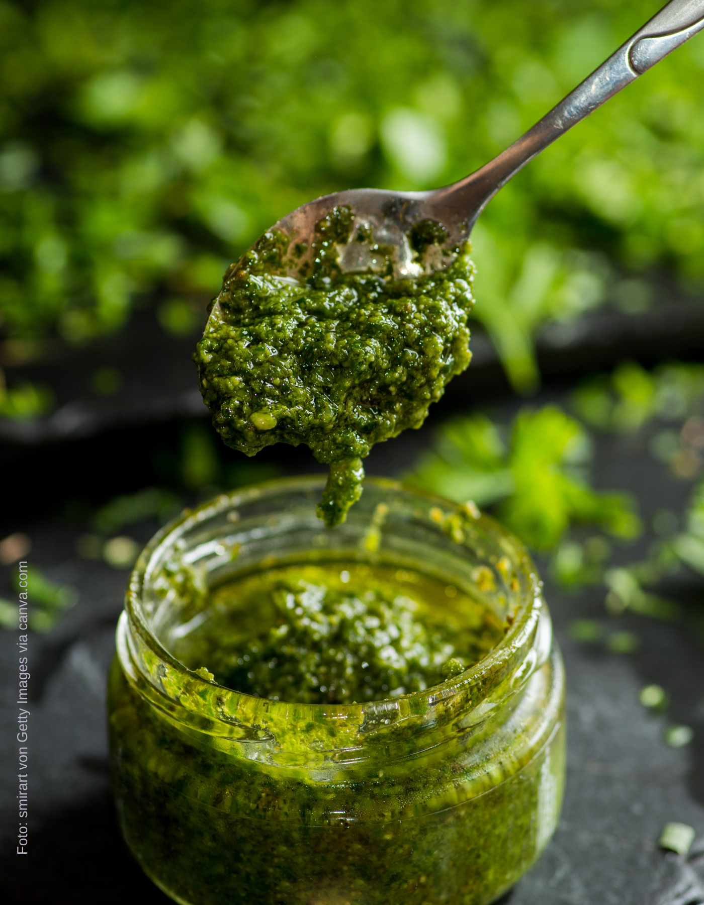 Veganes Pesto Verde – schnell gemacht, vielseitig genießbar und voller Geschmack