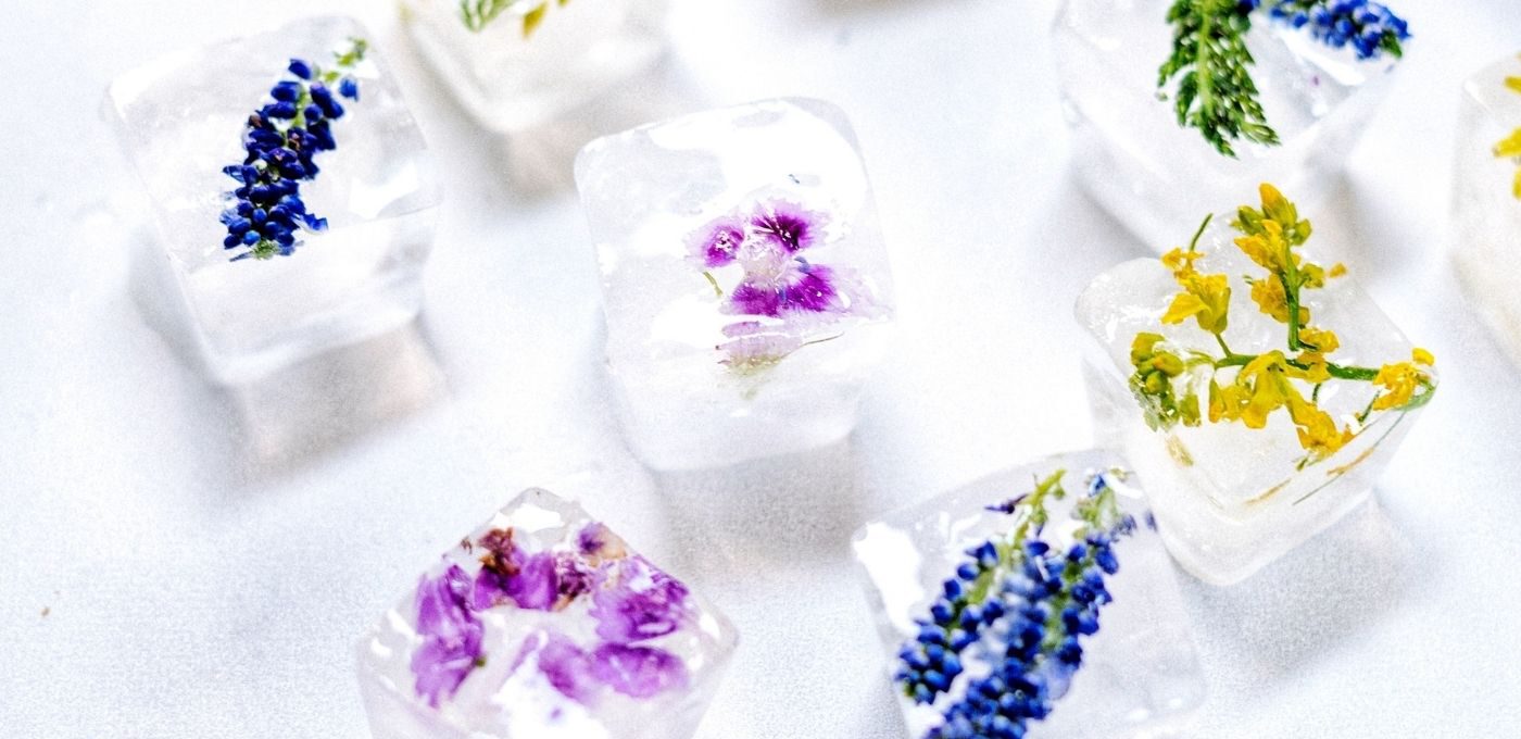 Eiswürfel mit echten Blumen selber machen