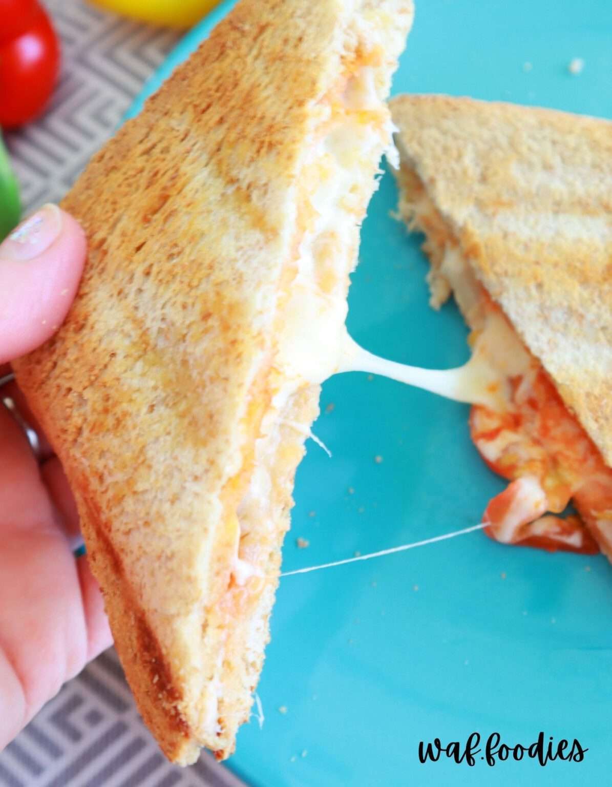 2 vegetarische Rezepte für den Sandwichmaker XL Toast & Quesadilla