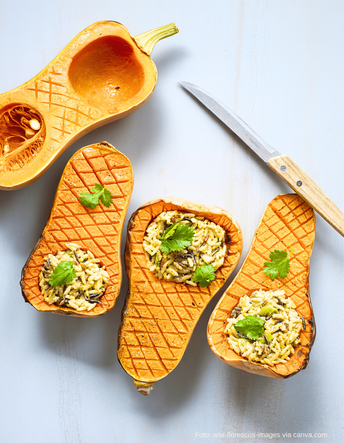 Gebackener Butternut mit Wildreis auf Teller serviert
